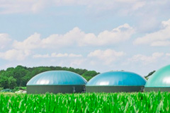 Biogas